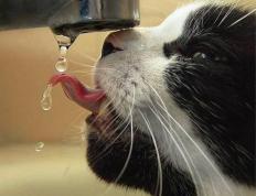 开云体育下载-足球世界的齿轮转动，从德国力克智利到帕尔默在英超的崛起