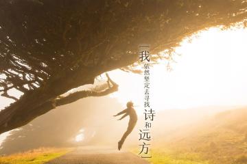 开云APP-南北星火同夜燃，从意甲天王山到美洲杯舞台的足球交响