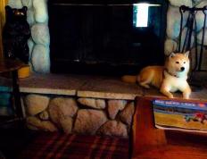 开云体育app-黑夜中的极限之舞，拉文如何用个人能力重写争冠剧本