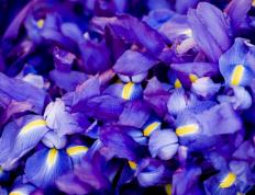 开云下载-双城记，76人节奏掌控北京队，英格拉姆季后赛接管启示录