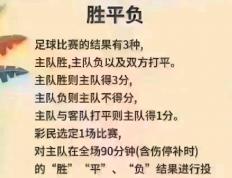 开云体育登录-足球比赛中球员的协作能力受到称赞