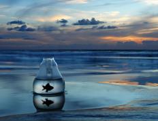 开云体育-加纳之子降服大黄蜂，凯塞多一锤定音终结悬念