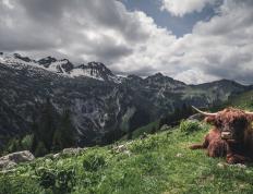 开云体育官网-布伦森独舞，新疆队对阵北京队的生死棋局，由他一手落子