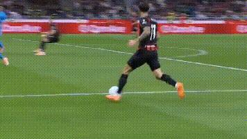 开云体育下载-关于焦点大战：游泳上演巅峰碰撞的信息