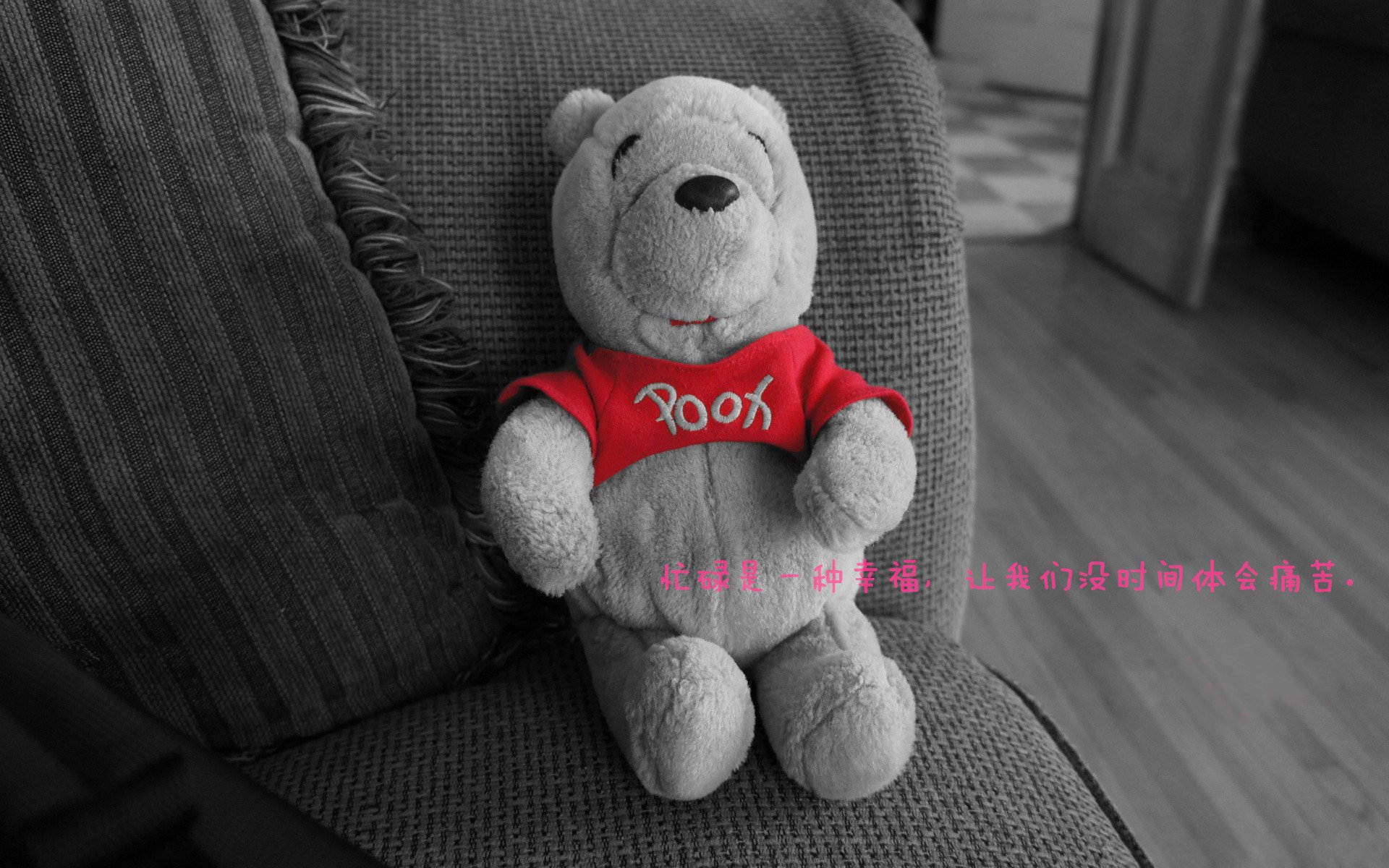 开云体育下载-跨越两大洲的篮球传奇，委内瑞拉团队奇迹与帕尔默个人英雄主义的交响