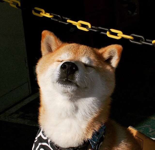 开云平台-波斯铁骑踏碎亚平宁夜空,加克波一剑封喉书写史诗