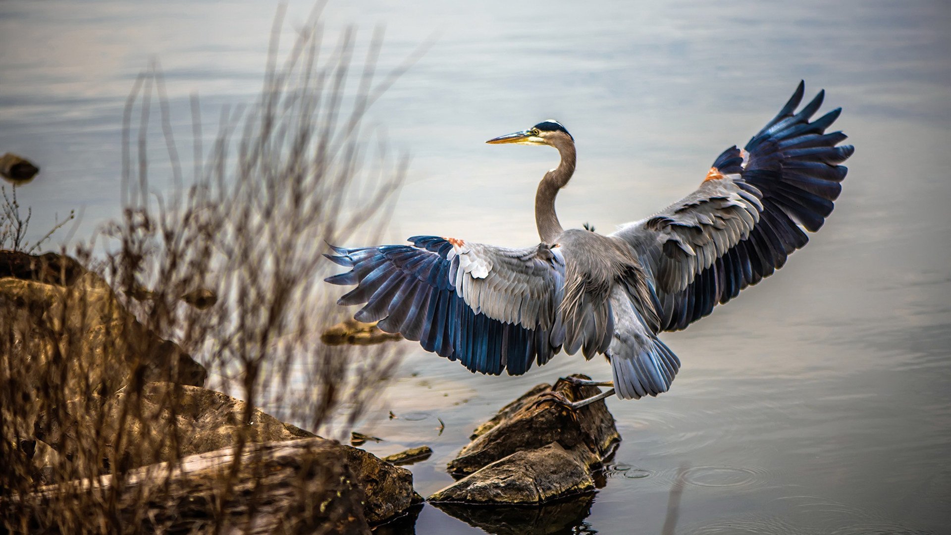 开云下载-赛道双面睇，开拓者轻取热火，杰伦·格林在F1街道赛接管比赛
