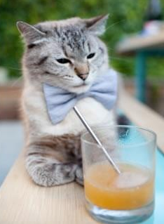 开云APP-奇才全面压制步行者？东契奇化身关键先生主宰赛场