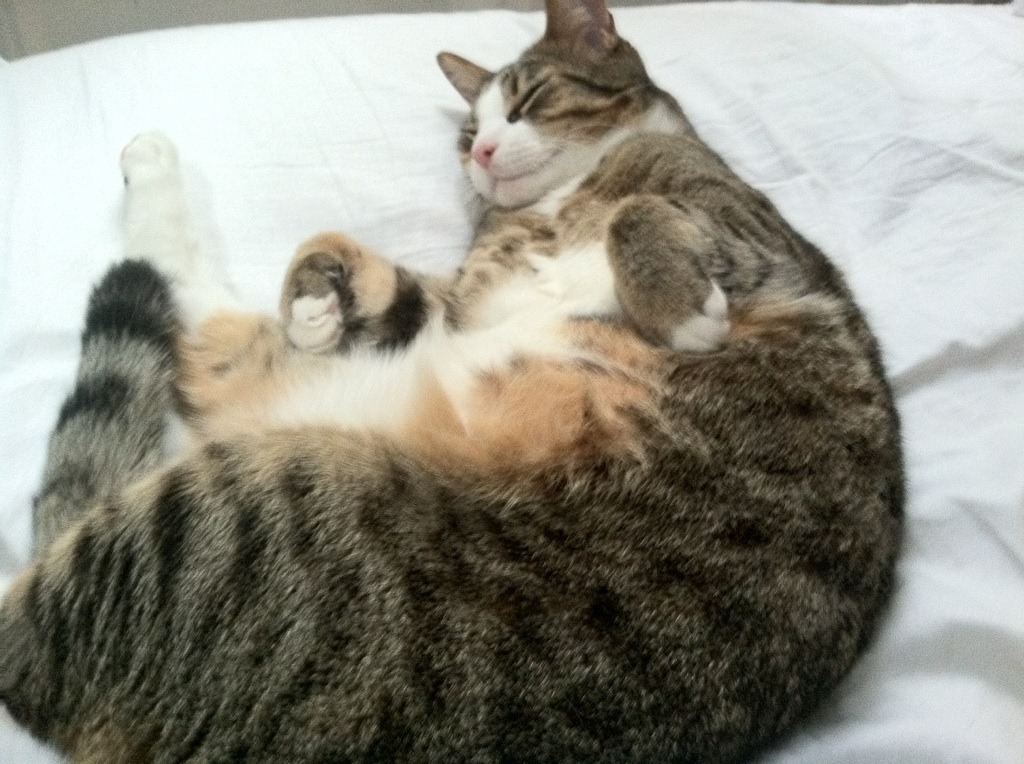 开云体育平台APP-当墨西哥全面压制突尼斯成为一场NBA式的季后赛焦点战