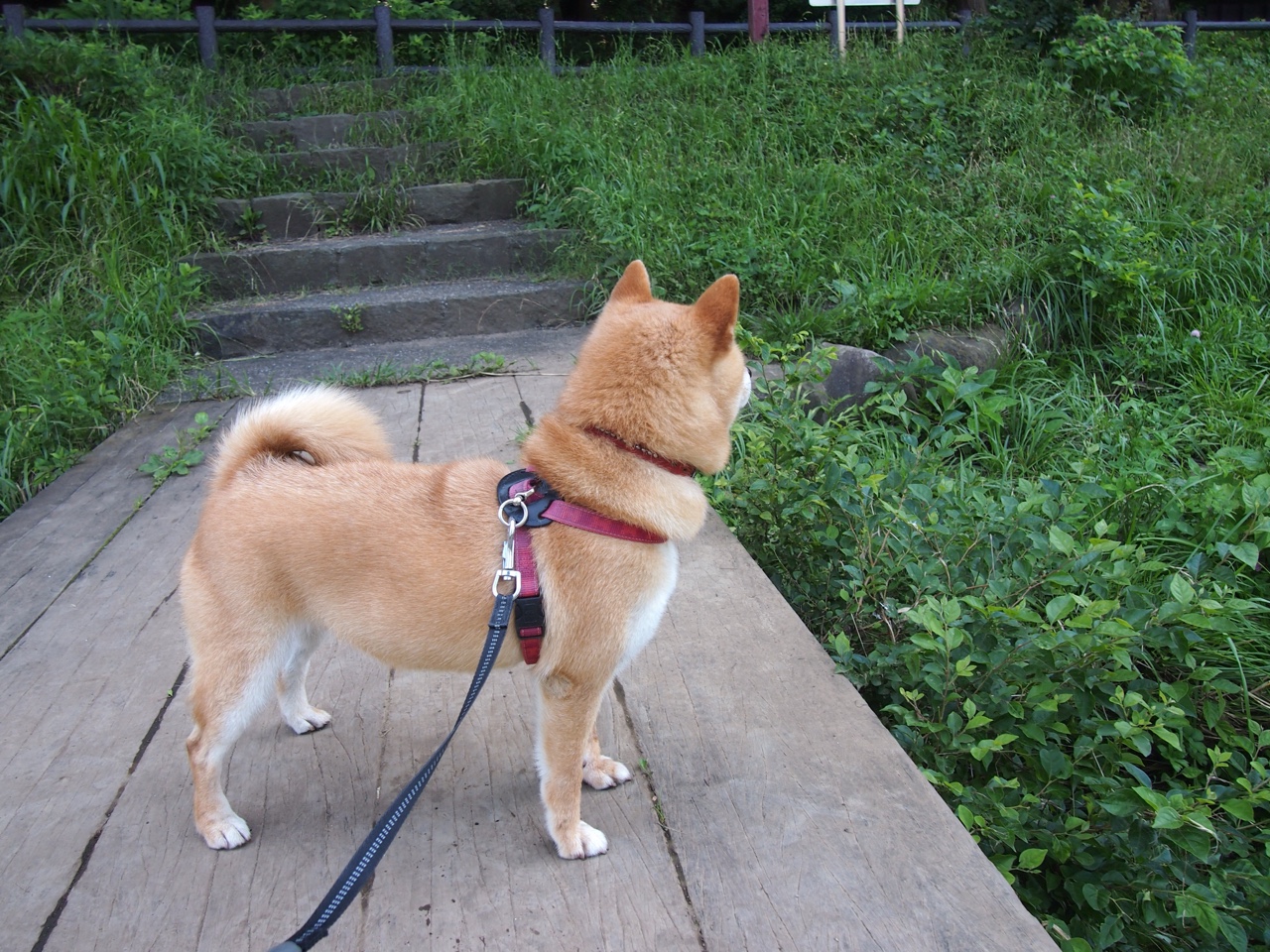 开云体育平台APP-杰伦格林末节19分难救主,雷霆双星闪耀加时险胜骑士
