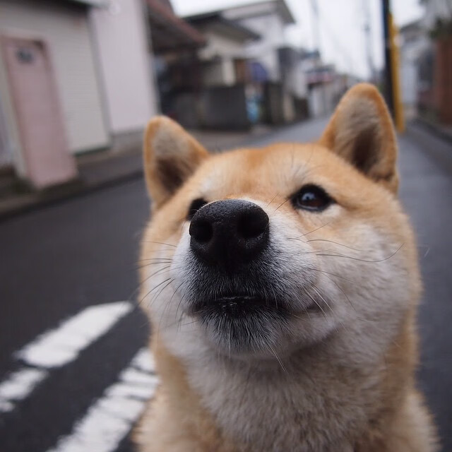 开云体育官网-霍勒迪刀锋起舞肢解湖人,太阳轻取胜利的背后是战术碾压