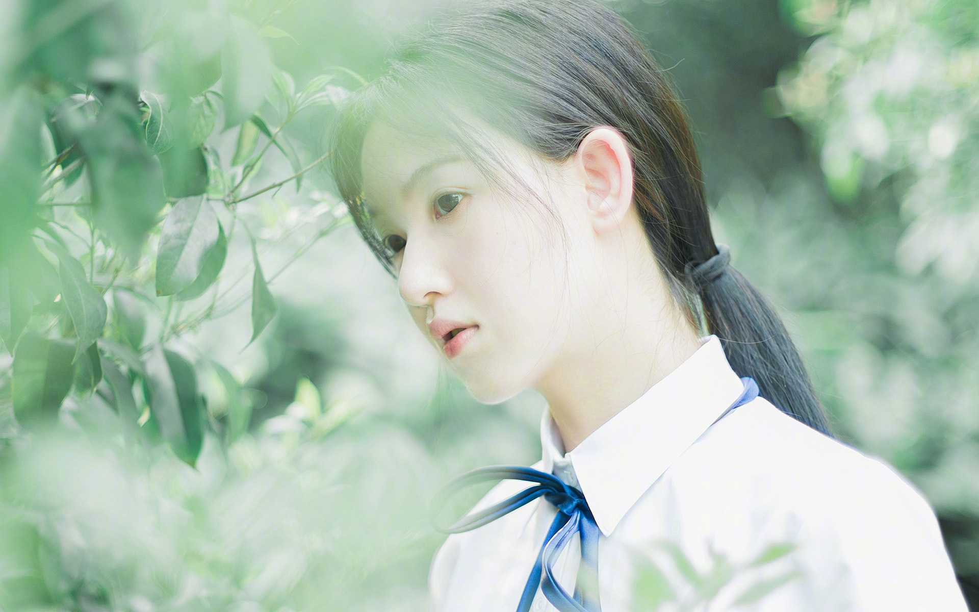 开云APP-武切维奇，跨越大洋的制胜者—勇士险胜快船深度解析