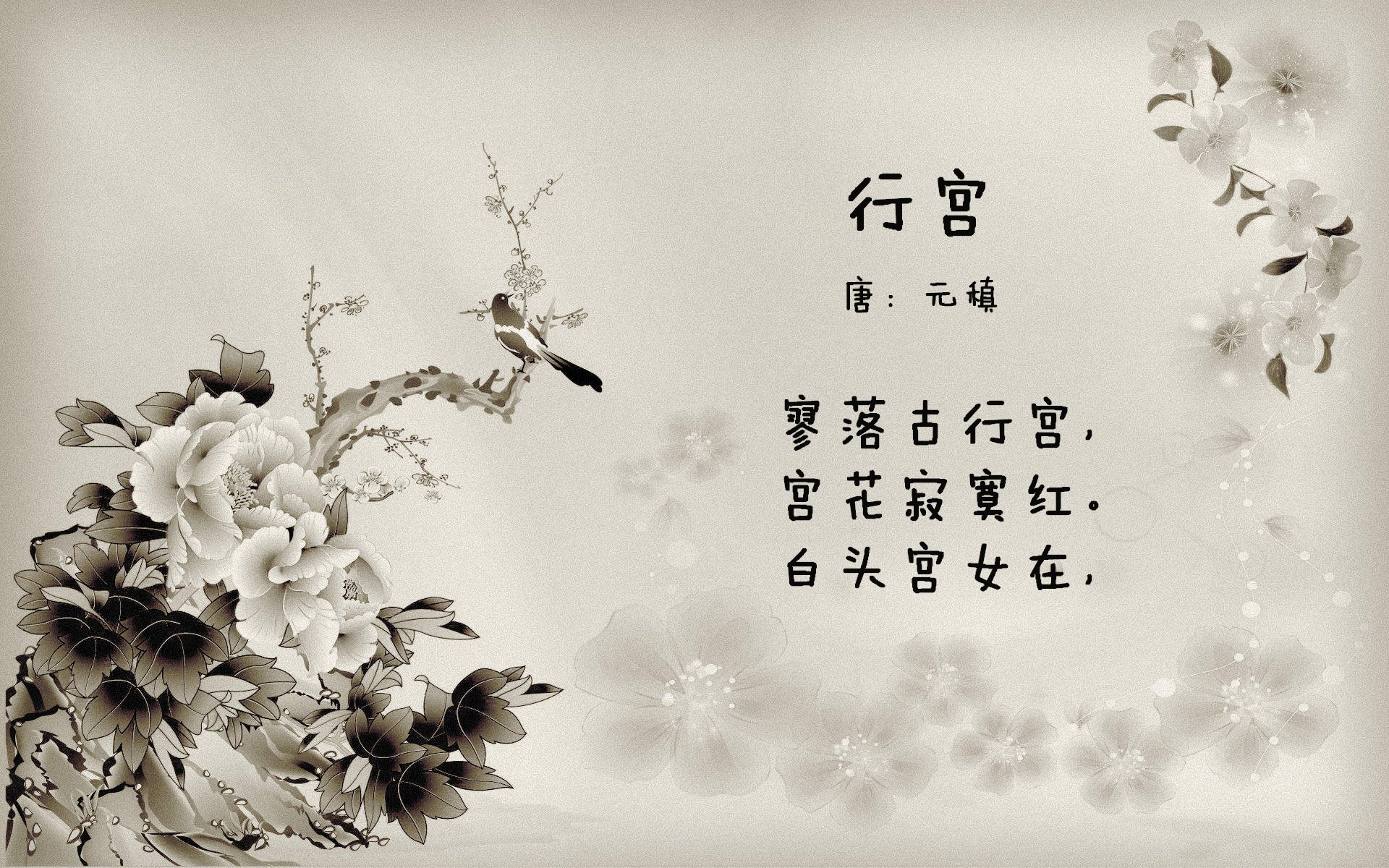 开云平台-足球大脑，阿克如何用系统重置思维导逆转，让阿尔及利亚稳擒西班牙