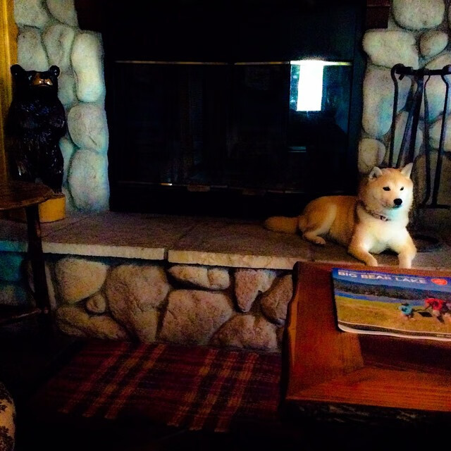 开云体育app-黑夜中的极限之舞,拉文如何用个人能力重写争冠剧本