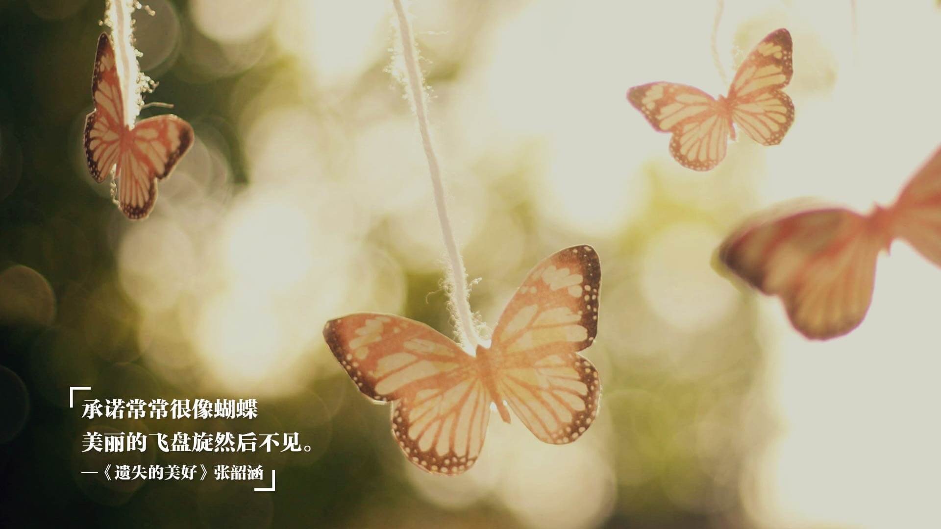 开云官网-门神时代，索默与库尔图瓦，如何用十指改写命运