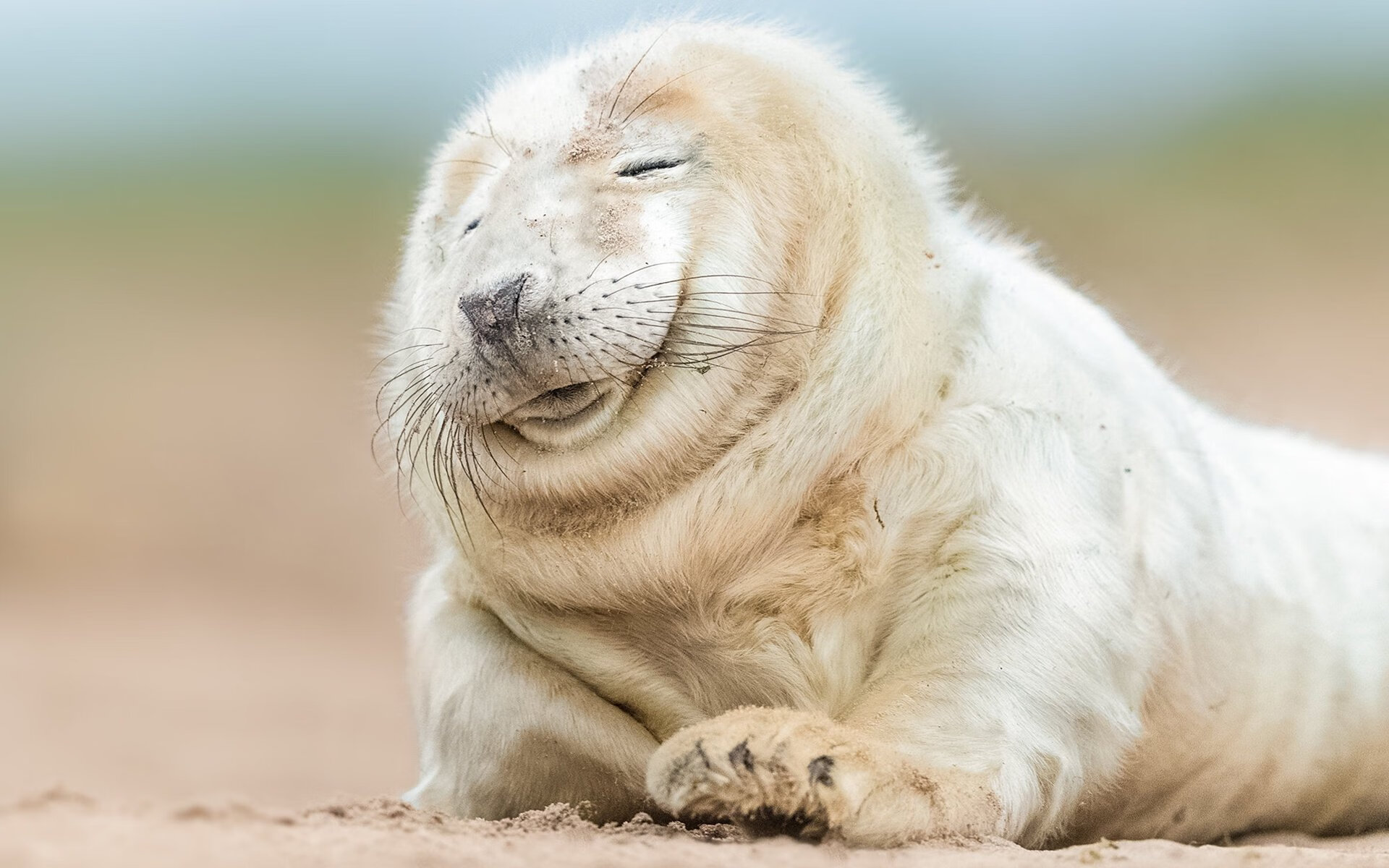 开云体育登录-上海队封锁猛龙，杰伦格林持续制造杀伤 一场教科书级的攻防对决