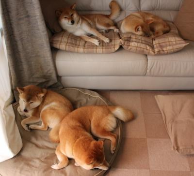 开云体育APP下载-夜幕下的巨人,当诺坎普遇见武切维奇