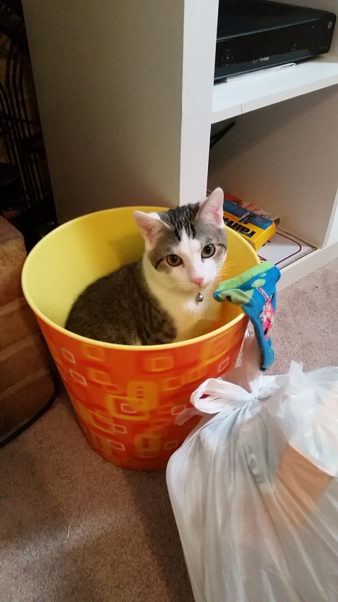 开云官网-冷门与巨星,厄瓜多尔掀翻墨西哥,凯恩满分诠释领袖力