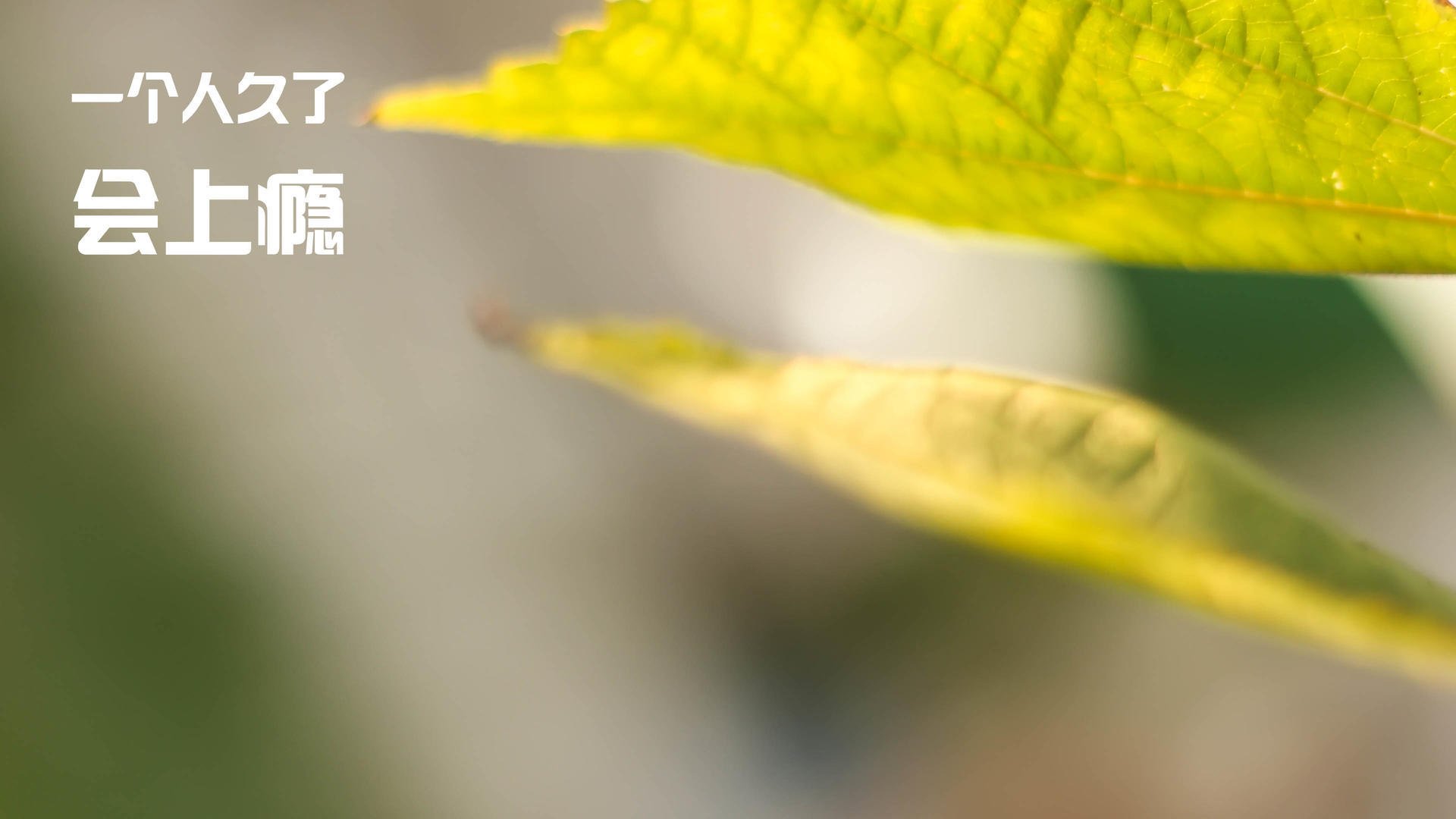 开云体育中国-尼斯血拼马赛，法兰西内战争夺欧洲之巅，一场耗尽灵魂的史诗对决