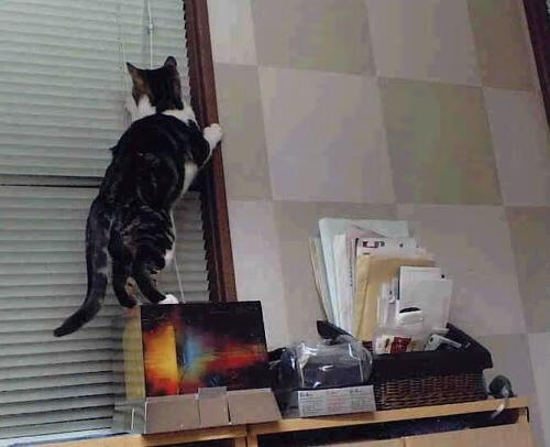 开云体育中国-卢卡库，当巨兽苏醒时，里昂的胜利只是注脚