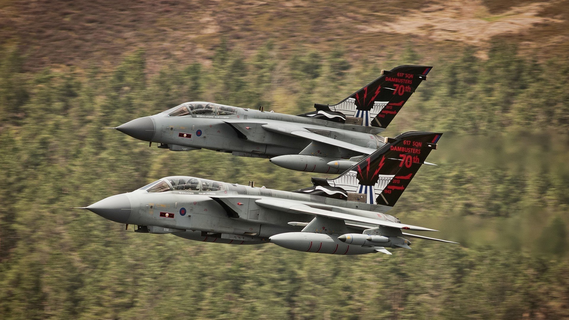 开云体育官网-硬仗之王的加冕礼,魔术队力克广厦队展现冠军相