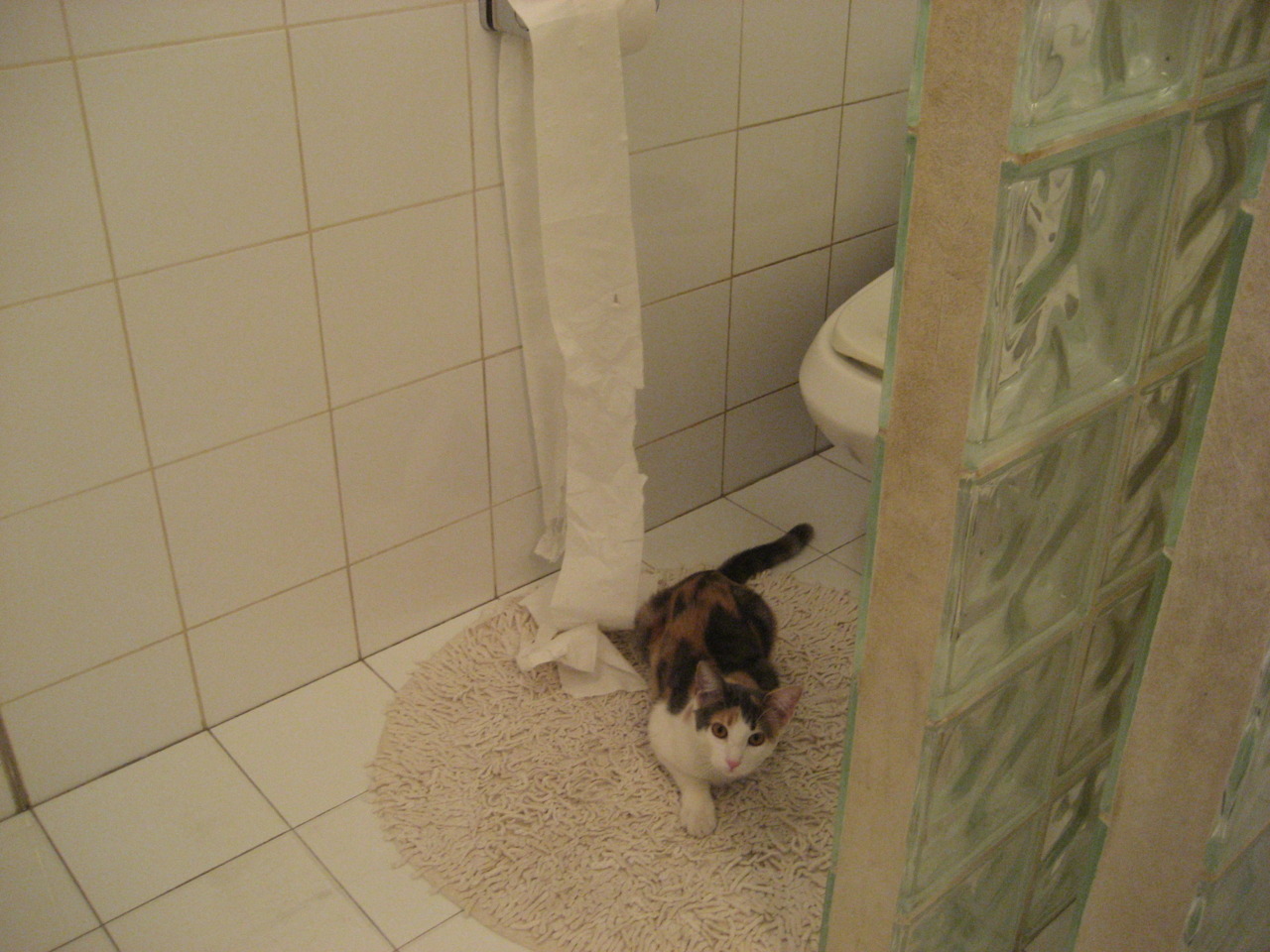 开云体育官方网站-德罗赞化身末节车手，猛龙险胜太阳上演极限超车