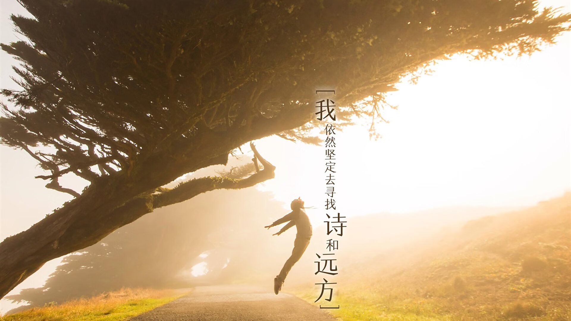 开云体育平台APP-赛道与球场，年度双线争霸的惊人相似